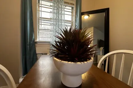 c8d682ca 1f21 4cc5 aa38 e7968de8e3bf.jpg