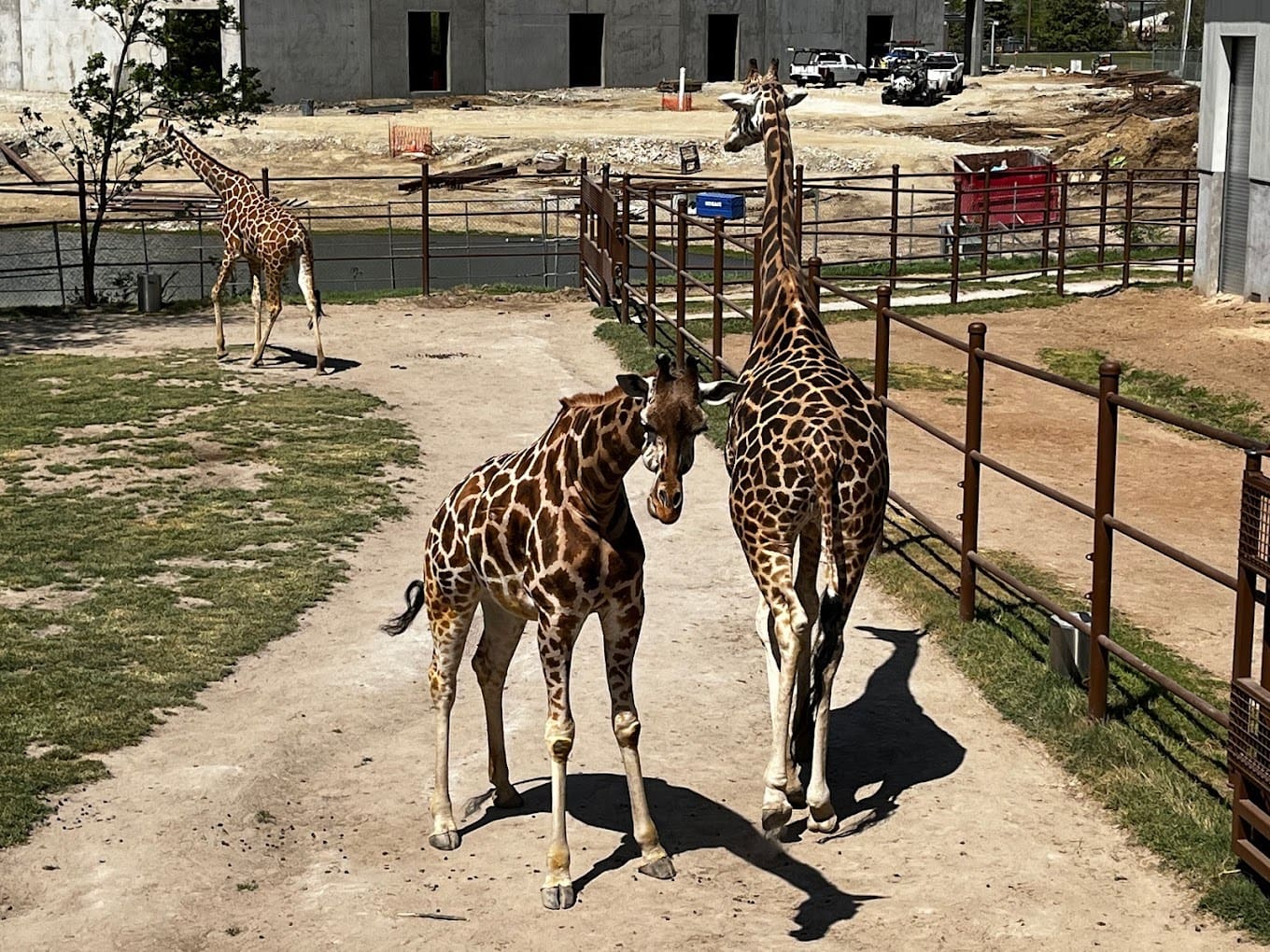 Tulsa Zoo
